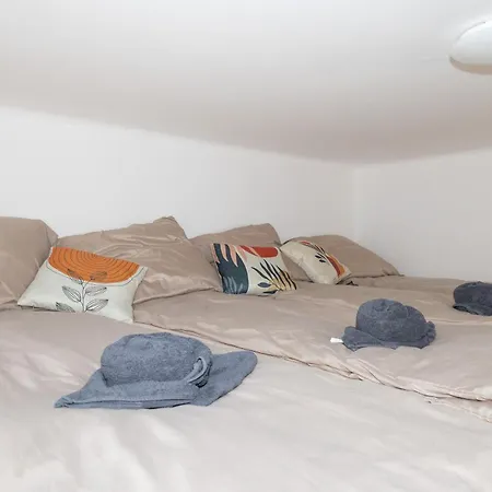 Apartment Stylish Old Town With Infrared Sauna Linz