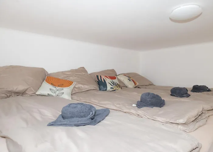 Apartment Stylish Old Town With Infrared Sauna Linz