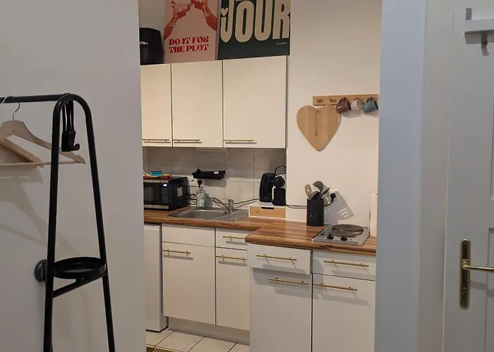 Apartment Stylish Old Town With Infrared Sauna Linz