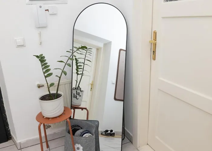 Apartment Stylish Old Town With Infrared Sauna Linz